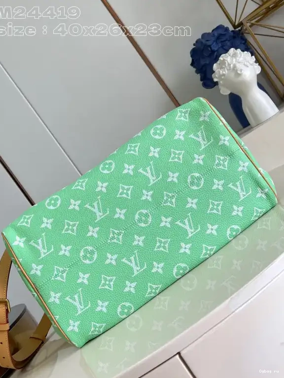 40 Vuitton SPEEDY Louis 0519